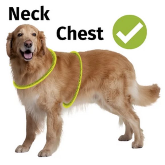 NWT ~PETORO Adjustable Reflective Harness, 5mm Soft Padded No-Pull No-Choke Vest - Picture 11 of 13